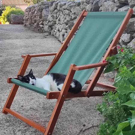 Skulka - Cres Island Apartment Orlec