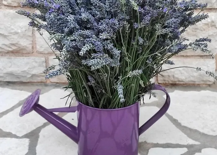 Apartamento Skulka - Cres Island