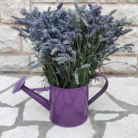 公寓 Skulka - Cres Island