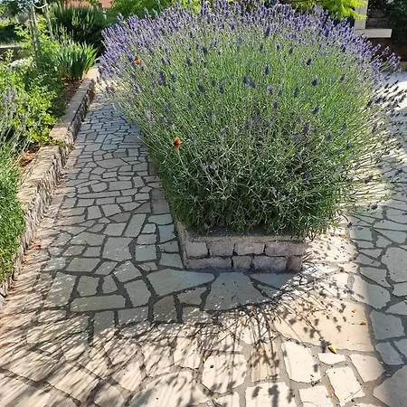 公寓 Skulka - Cres Island *