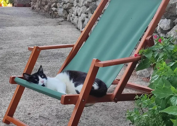 Skulka - Cres Island 公寓 Orlec